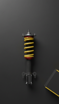 Adjustable Coilover Suspension Kit
